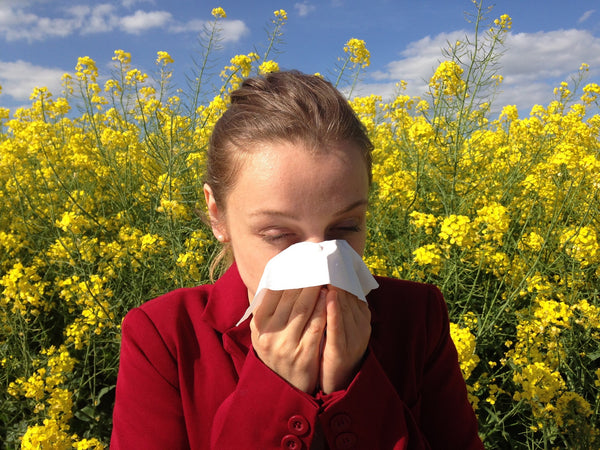 How to Prevent Allergies During Spring and Summer