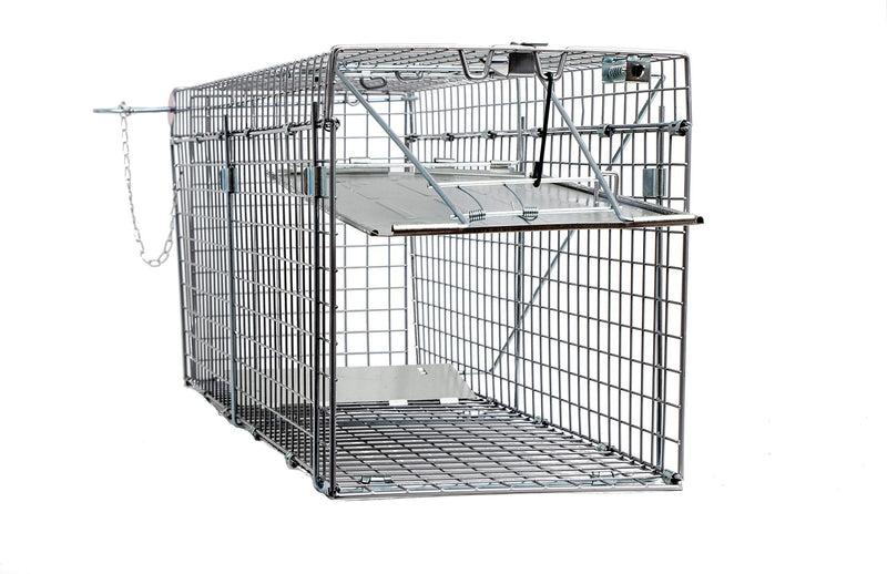 LifeSupplyUSA (2-Pack) - Animal Trap (32"x10"x12") - Humane Animal Trap for Gophers, Racoons, Possums, Groundhogs, Beavers and Other Similar Sized Animals, Easy Trap Catch & Release 1-Door