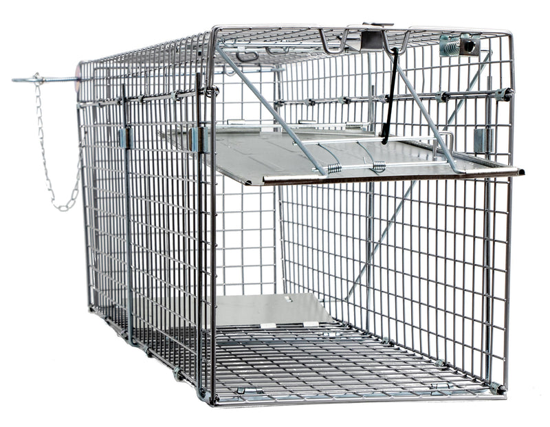 Pack of 5 Heavy Duty Collapsible Catch Release Large Live Humane Animal Cage Trap Works for Possums, Raccoons 32x10x12-Animal Traps- LifeSupplyUSA