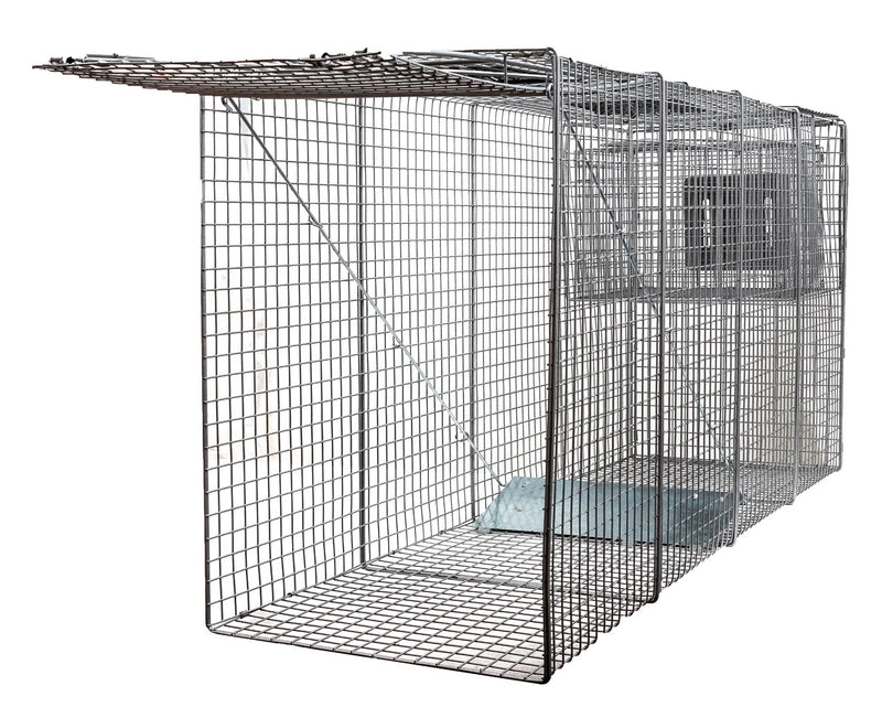 Pack of 5 Heavy Duty Catch Release X-Large Live Humane Animal Cage Trap Small Bait Cage Included for Foxes, Dogs 58x26x17-Animal Traps- LifeSupplyUSA