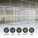 LifeSupplyUSA Heavy Duty Catch Release Large Live Humane Animal Cage Trap for Opposums Beavers Groundhogs Gophers and Other Similar Sized Animals 32x10x12 - 1-Pack,32 x 10 x 12 (Collapsible)