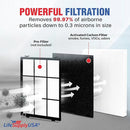 LifeSupplyUSA Complete Replacement Filter Set (1 True HEPA Air Cleaner Replacement Filter + 4 Carbon Filters) Compatible with Winix 115115 Air Purifiers