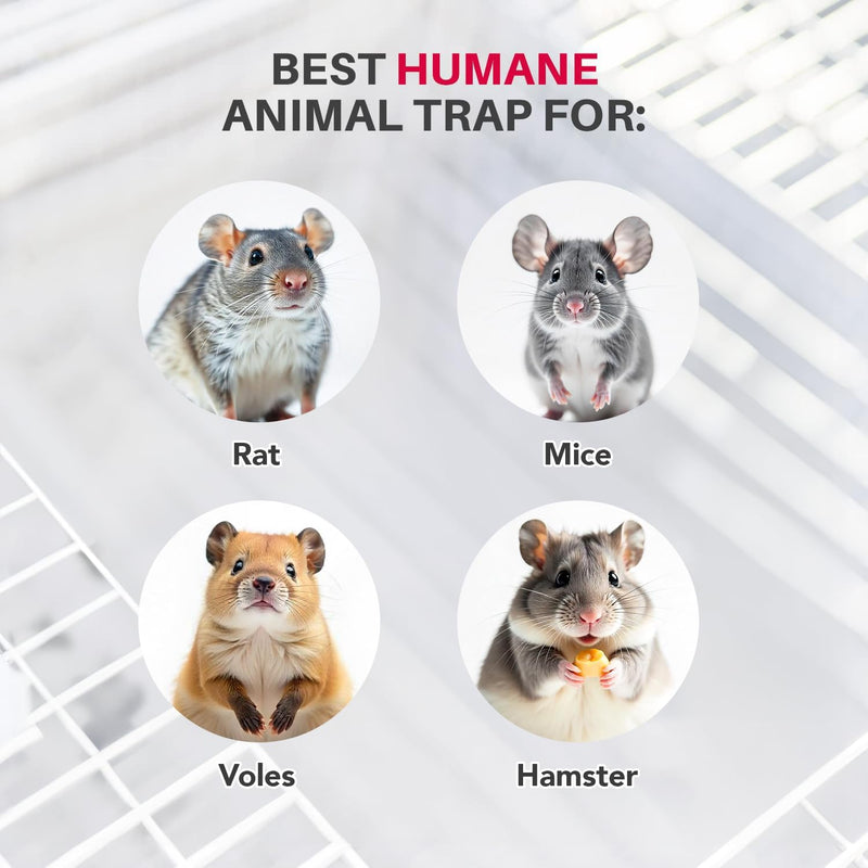LifeSupplyUSA Heavy Duty Catch Release Small Live Humane Animal Cage Trap for Rat Mice Voles Weasels and Other Similar Sized Animals 18x5x5
