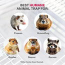 LifeSupplyUSA Heavy Duty Catch Release Large Live Humane Animal Cage Trap for Opposums Beavers Groundhogs Gophers and Other Similar Sized Animals 32x10x12
