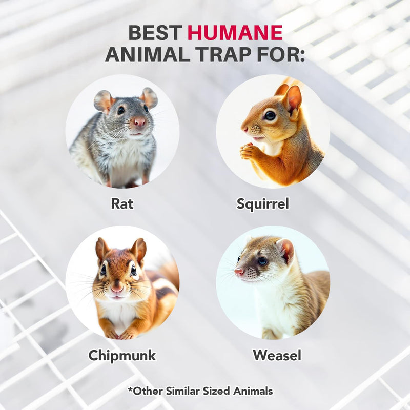 LifeSupplyUSA Heavy Duty Catch Release Medium Live Humane Animal Cage Trap for Rats, Squirrels, Chipmunks, Weasels and Other Similar Sized Animals 24x7x7