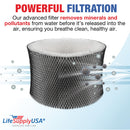 LifeSupplyUSA Humidifier Filter Replacement Wick Filter A Compatible with BIONAIRE, Holmes HWF62, Honeywell, Sunbeam, Vicks