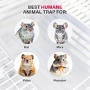 LifeSupplyUSA Heavy Duty Catch Release Small Live Humane Animal Cage Trap for Rat Mice Voles Weasels and Other Similar Sized Animals 18x5x5 - 1-Pack,18 x 5 x 5