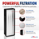 AER1 / 16216 True HEPA Filter Replacement Compatible with Holmes HAPF300 & HAPF30 (Type D) and Bionaire BAP536/BAP516 by LifeSupplyUSA (2-Pack) - 2 Pack,2 Hepa