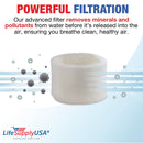 Filter E Humidifier Filter Replacement Wick Compatible with Honeywell Quietcare HCM-6009, HCM-6011i, HCM-6012i, HCM-6013i, HC-14, HW-14 by LifeSupplyUSA (3-Pack) - 3-Pack