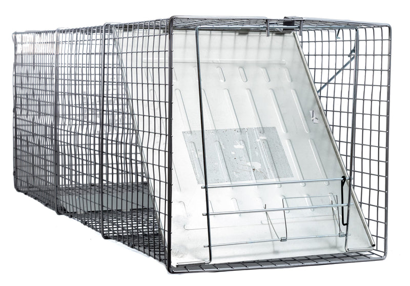 Pack of 10 Heavy Duty Catch Release Large Live Humane Animal Cage Trap for Foxes, Raccoons, Badgers, Coyotes 42x15x15-Animal Traps- LifeSupplyUSA