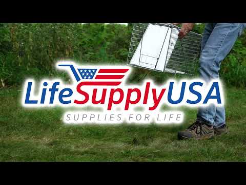 HD Live Trap (call for shipping rates on this product) – Trapper Art's  Supply